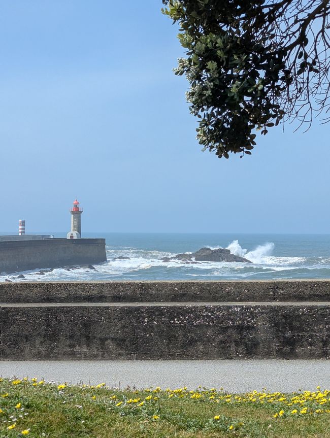 Porto per pedes (Camino Portugues 1)