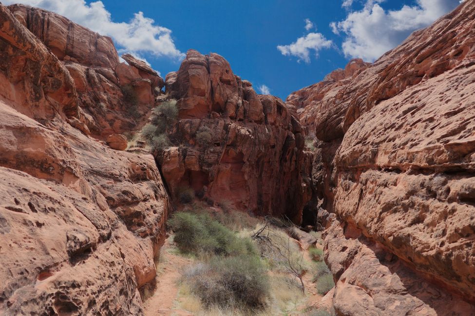 USA - Las Vegas and more ...   road trip 2025