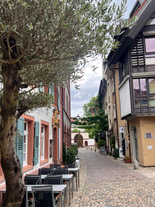 25b Spaziergang durch Freiburg