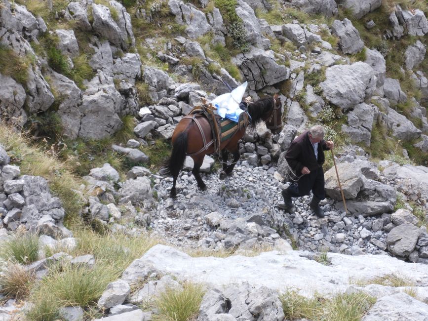 Und das Pferd führen