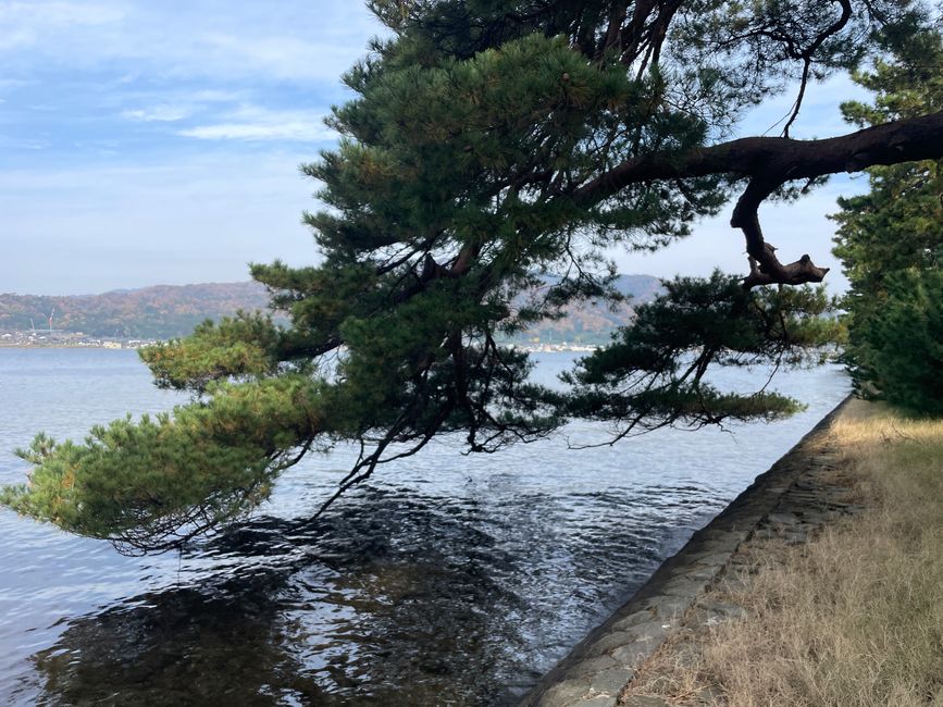 26. Kapitel: 
Frühstücksbuffet und Amanohashidate-Landzunge: Beide atemberaubend