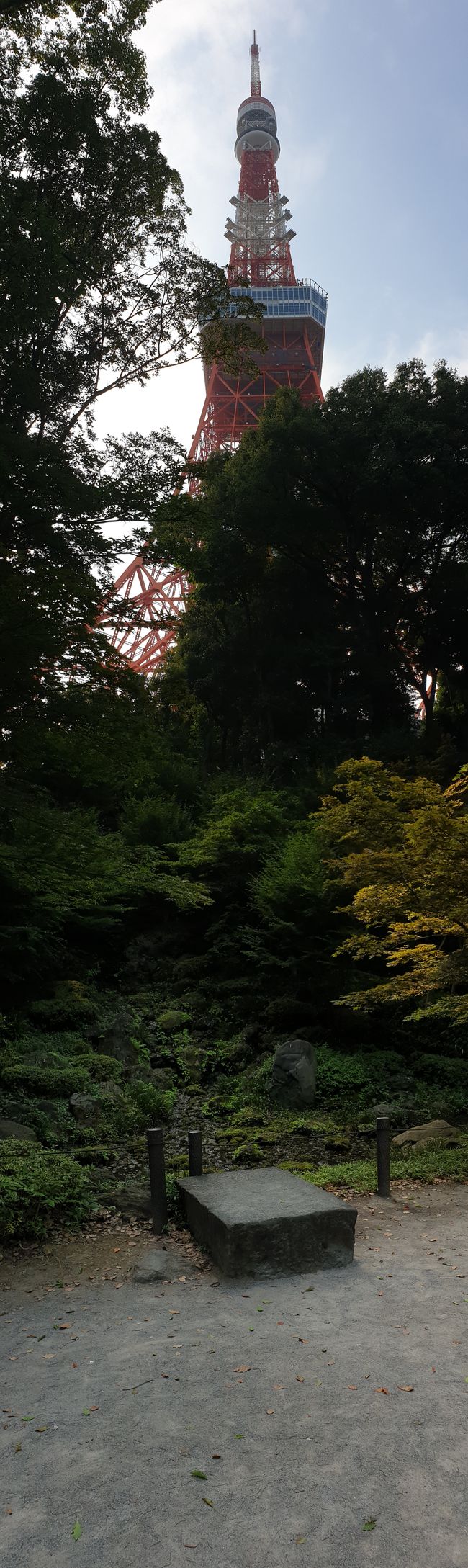 Anche dietro gli alberi non si può nascondere