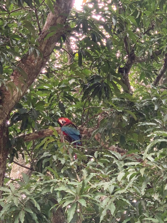 Trinidad (Chuchini Reservat)