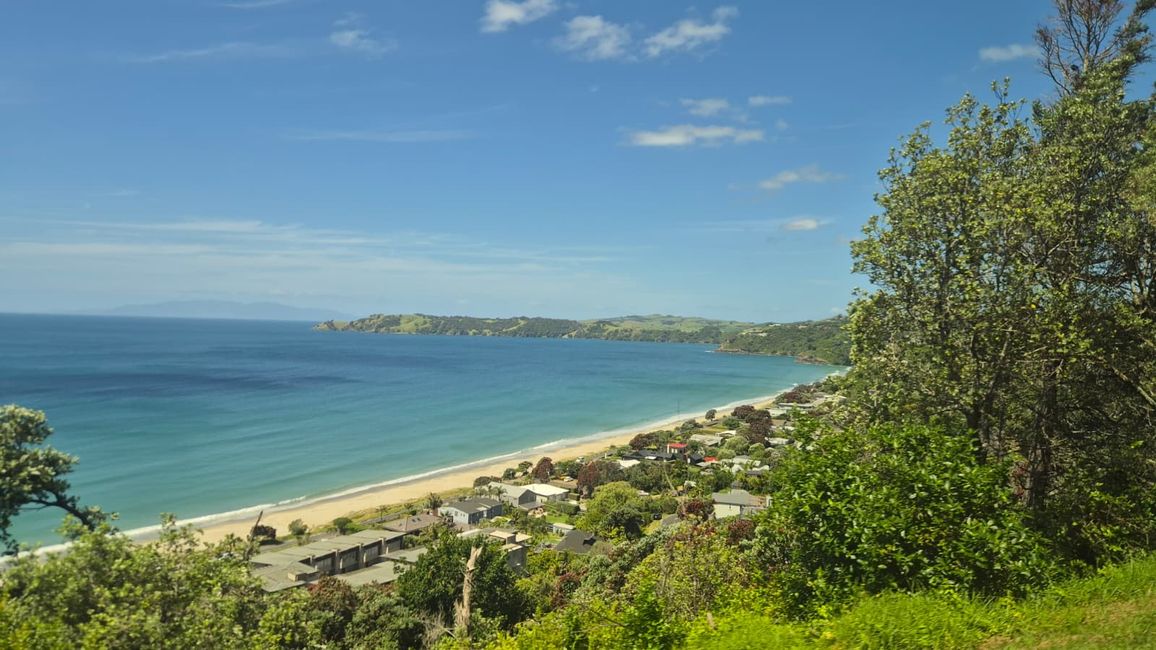 Weinprobe **Plan for Monday** Auckland - Waiheke - Auckland🍷🍇