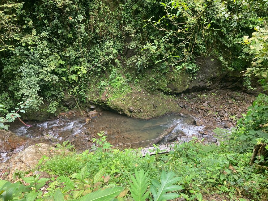 Monteverde