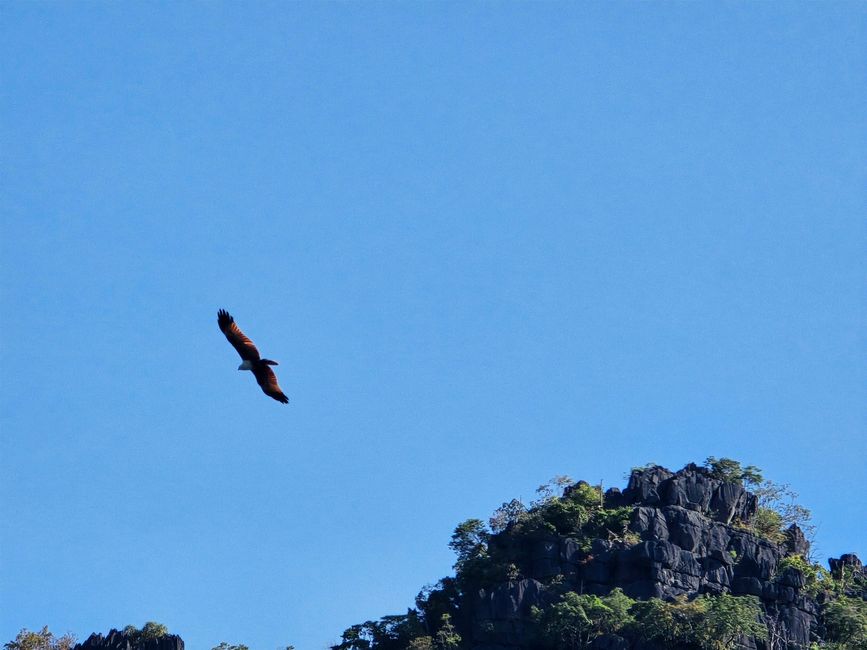 Langkawi - Reif für die Insel!