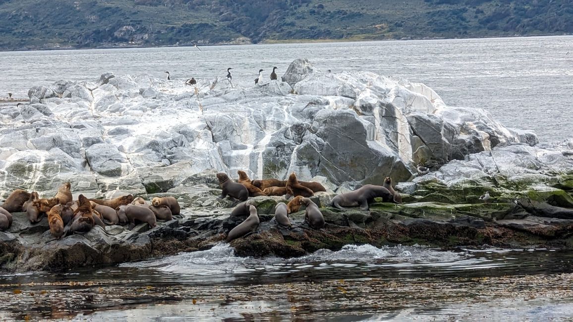 Beagle Channel Navigation mit Patagonia Adventure Explorer