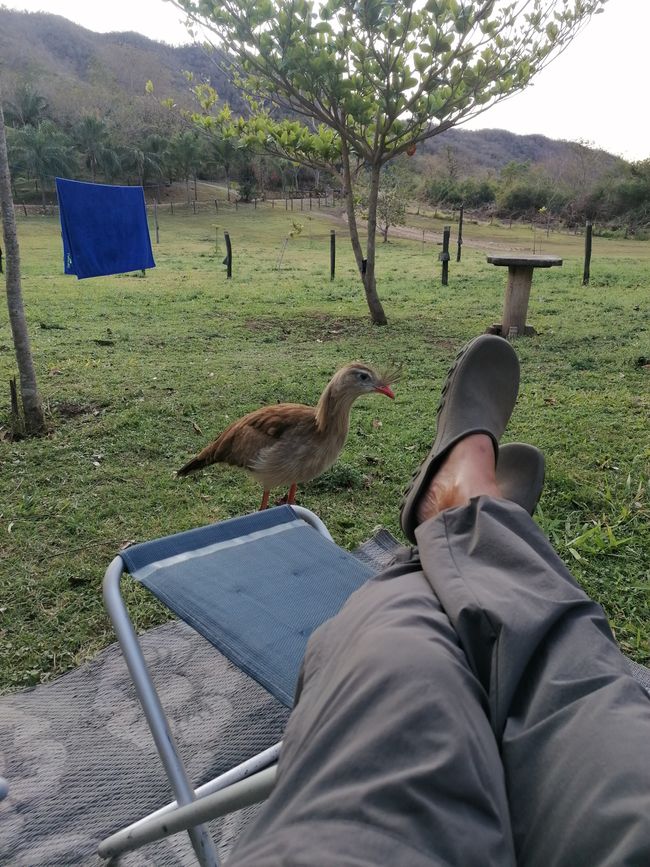 Refugio Canaa Brasil