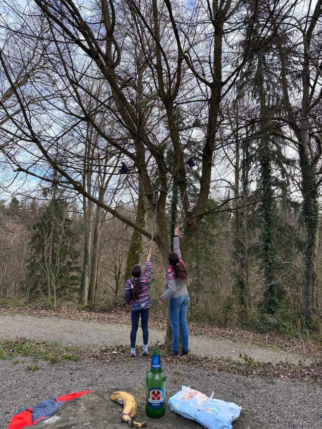 Schottisches Südamerika