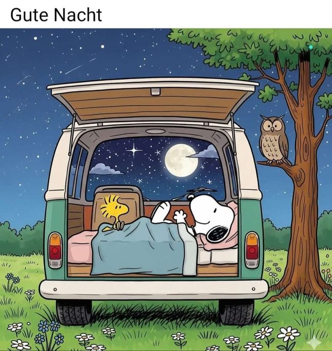 Wolin am Stettiner Haff