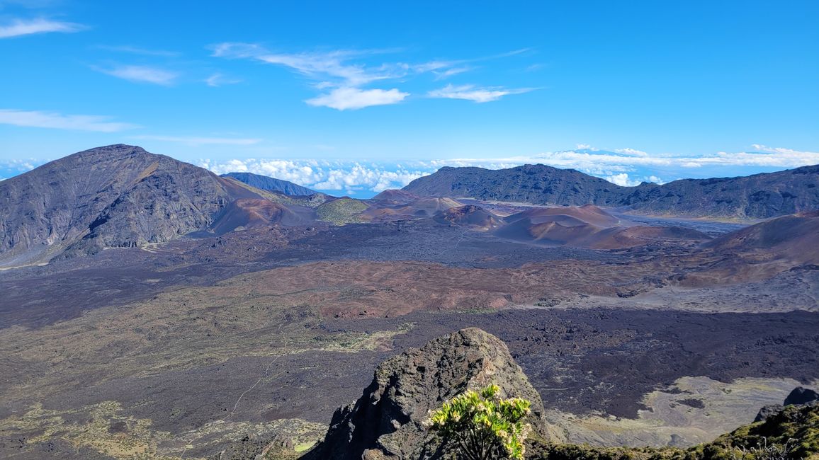 Aloha Maui – No solo un paraíso para surfistas