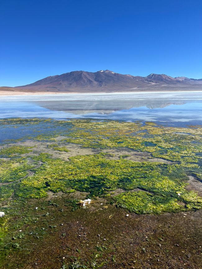 Salar de Uyuni