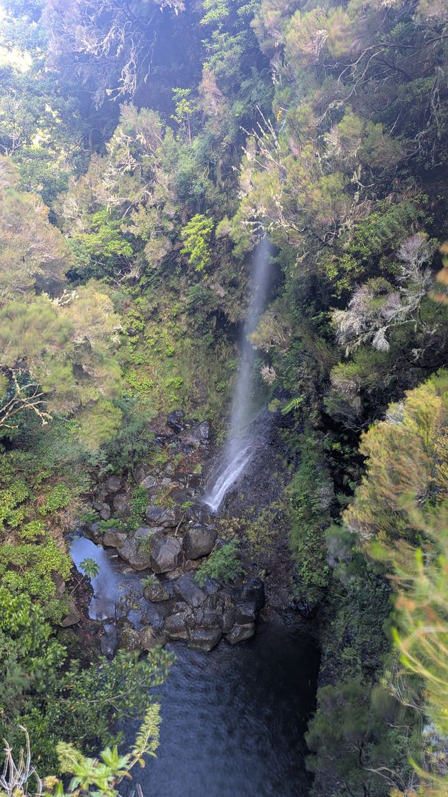 Tag 10: Levada das 25 Fontes und Risco & Feenwald
