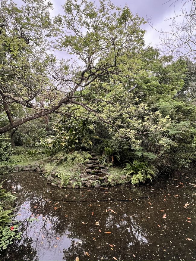 Botanical garden II