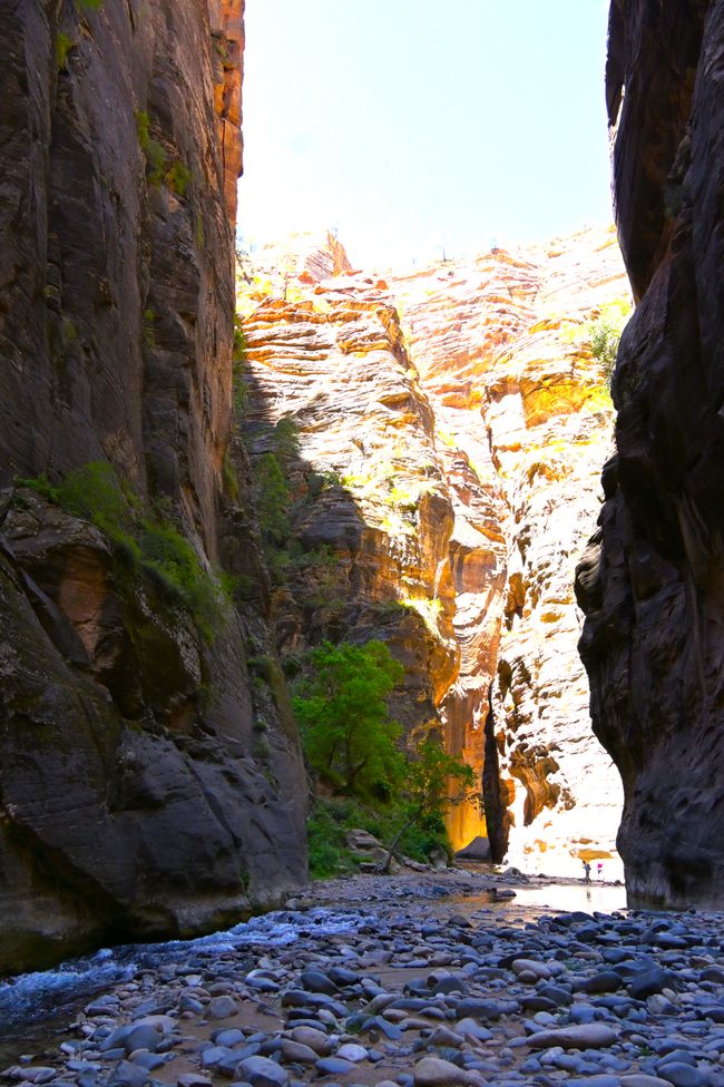 Wanderung durch die Narrows