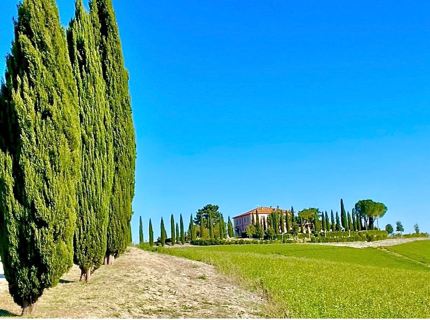 Fast jedes größere Landgut hat eine mit Zypressen gesäumte Zufahrt.