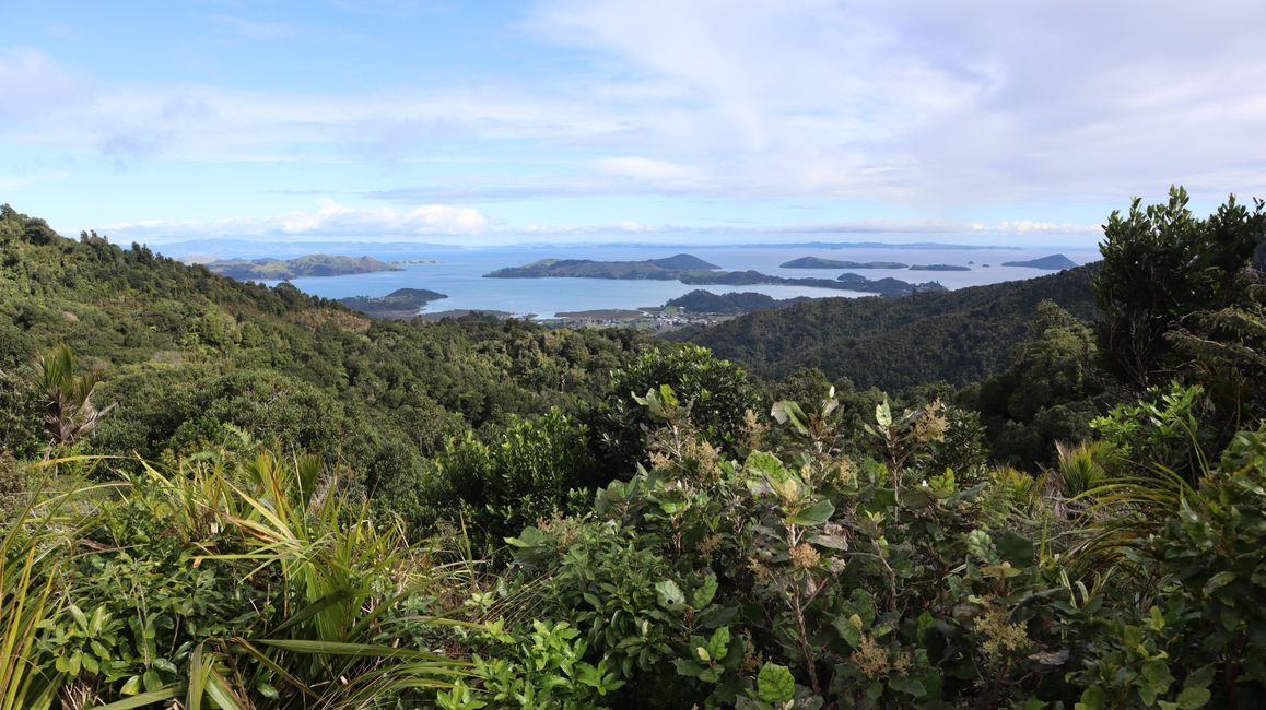 Lookout unterwegs auf der Coromandel Halbinsel