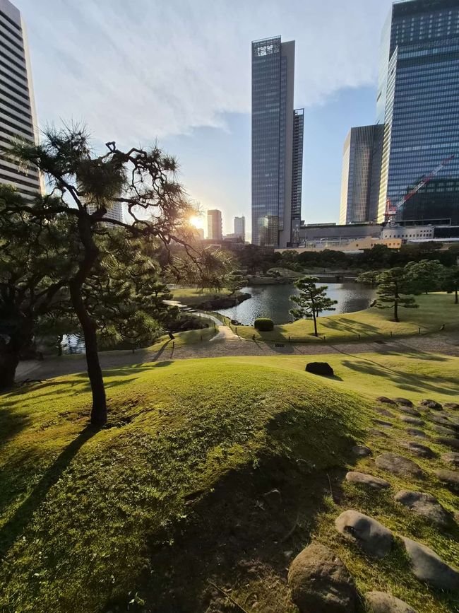 Jardines Kyu-Shiba-rikyu