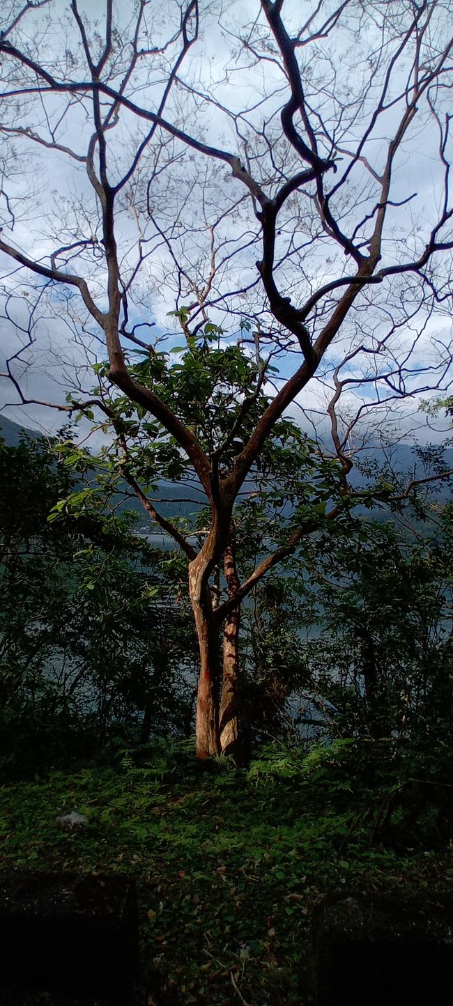 Liyu Lake
