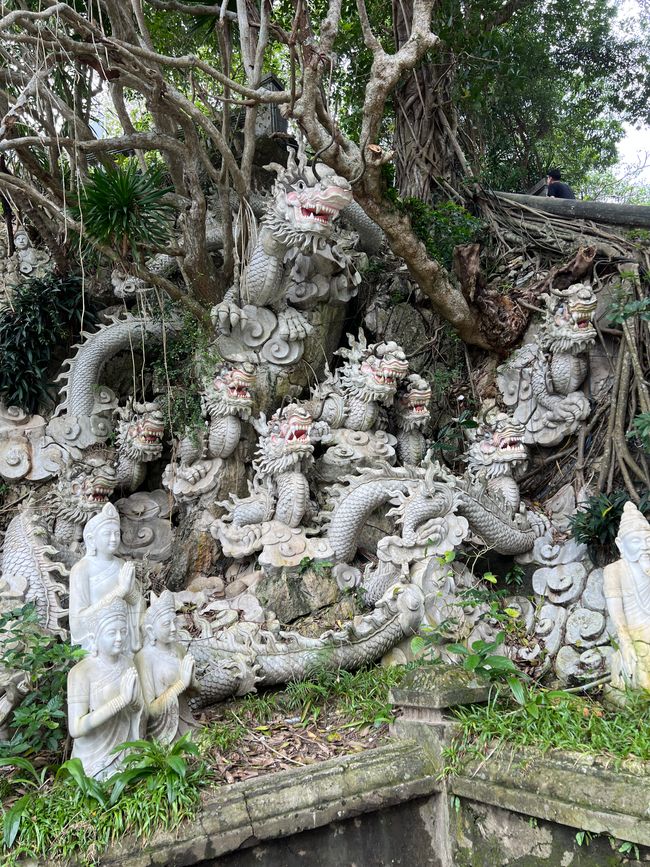 Tag 5 - Hoi An: Ein Tag mit Affen, Einhörnern und vielen Überraschungen