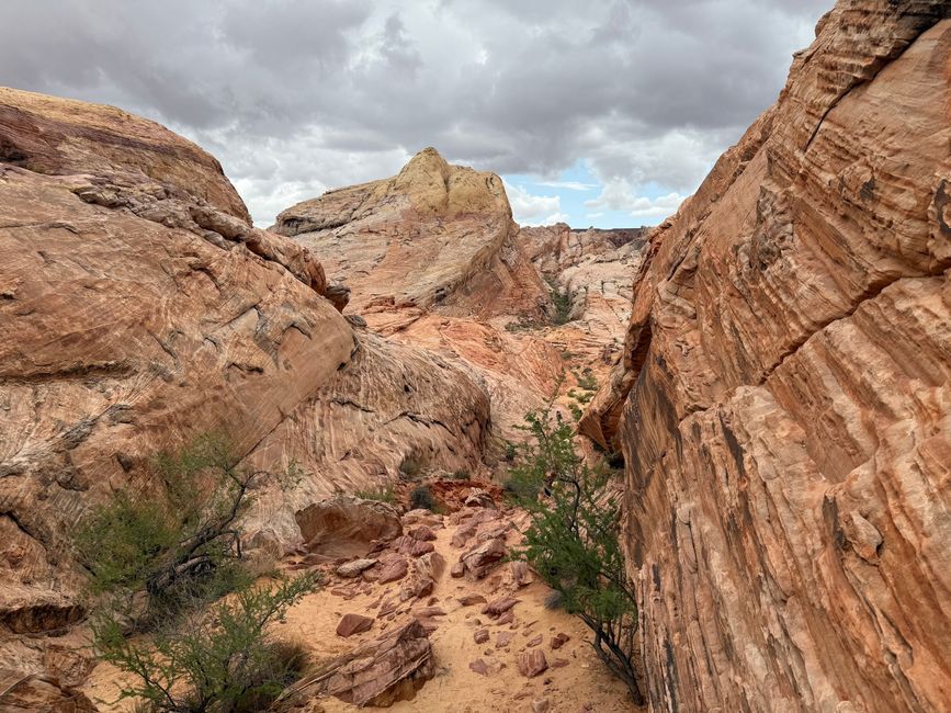 White Domes Trail