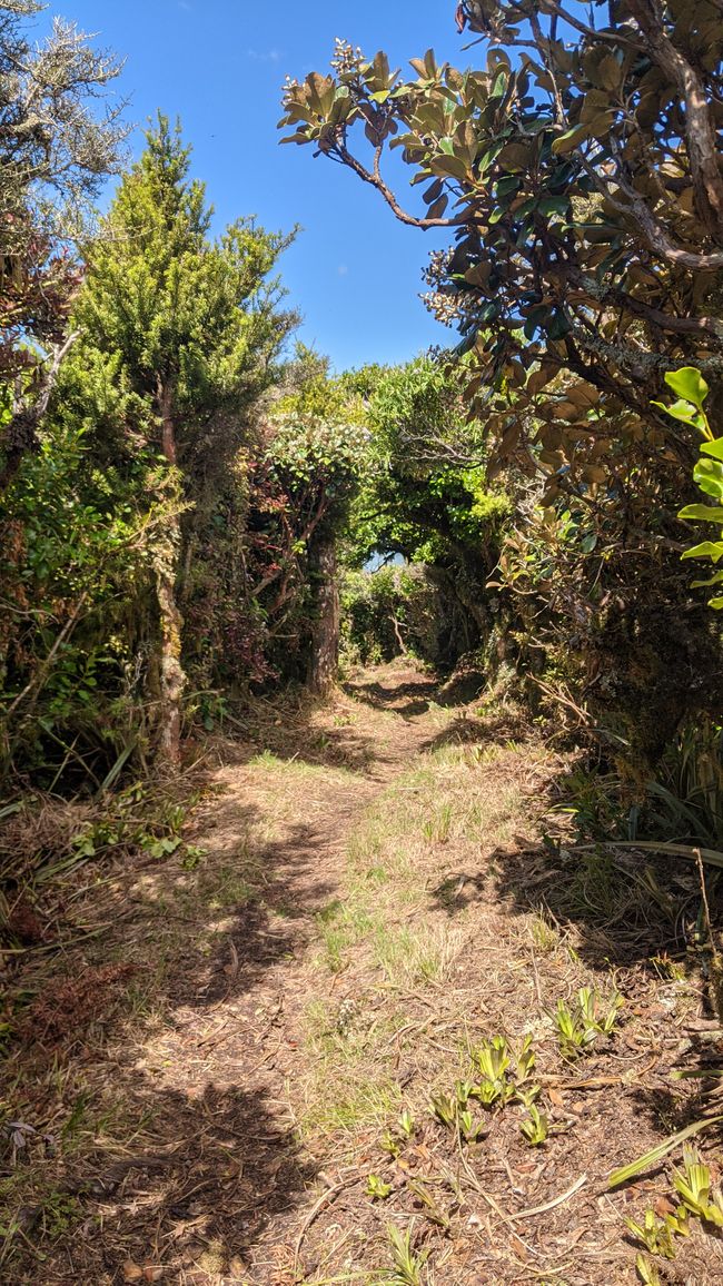 New Plymouth / Okato / Mt. Taranaki