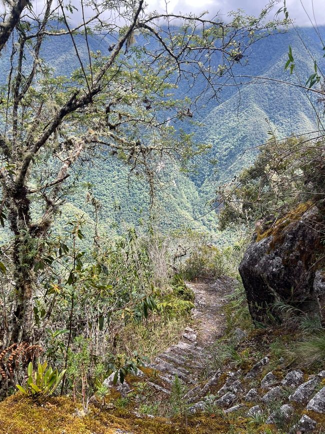 👷‍♂️标签 31-1 (3.11.) 马丘比丘，登上惠纳比丘山