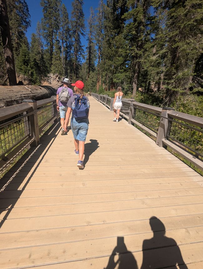 Kalifornien 2025, Tag 6, Yosemite National Park