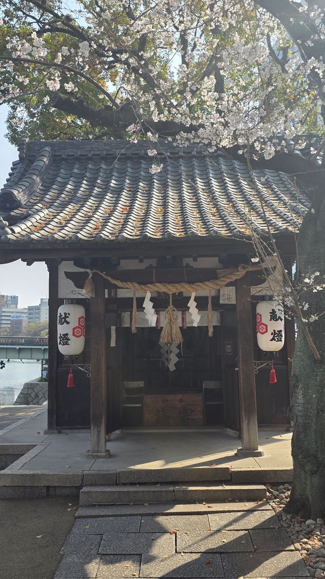 Update: Hiroshima & Nagasaki