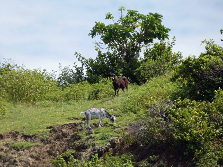 Yasawa-Inseln, Fidschi
