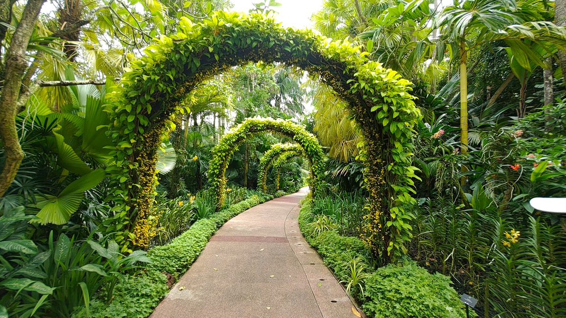 National Orchid Garden im SBG