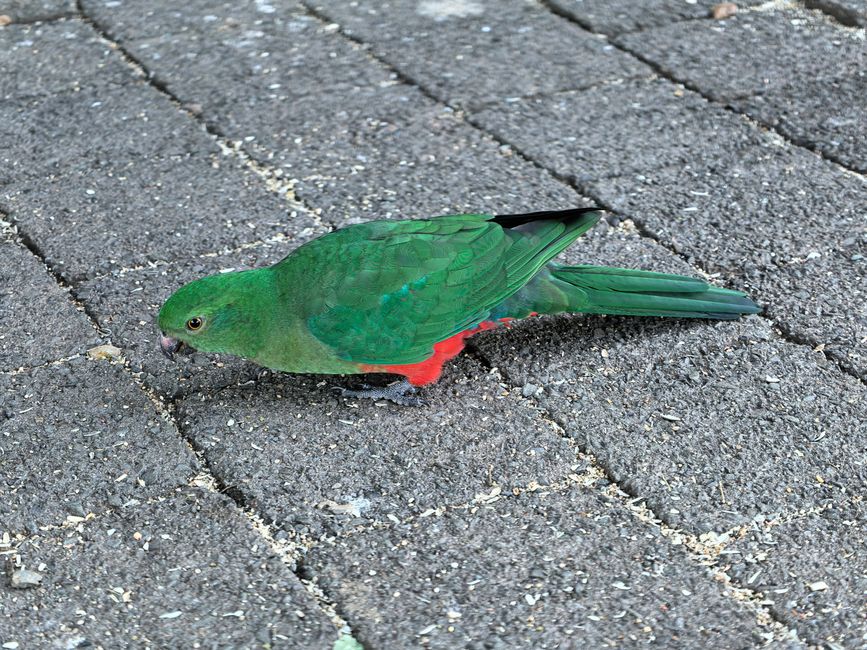 04/19/2026