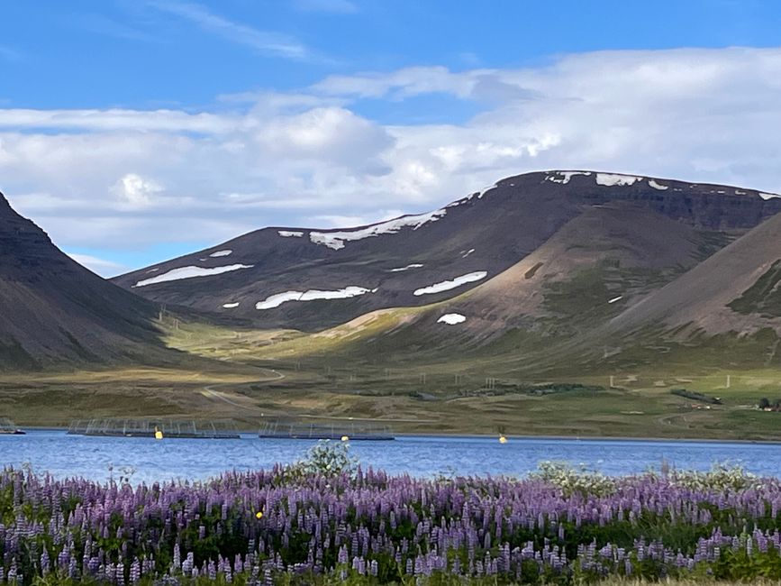 Weiter durch die Westfjorde