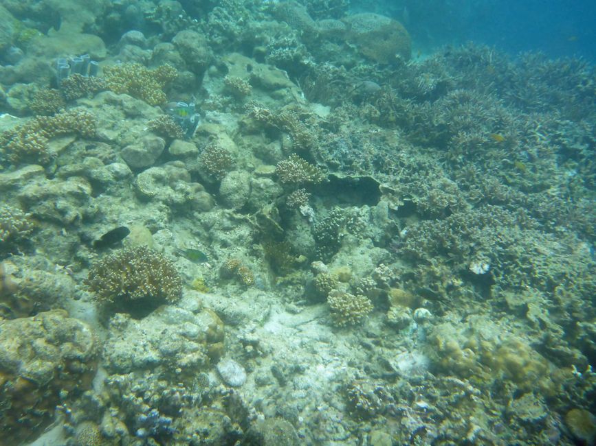 Misool, Nuova Guinea occidentale, Indonesia, escursione in Zodiac