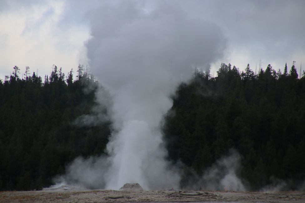 Old Faithful Geyser