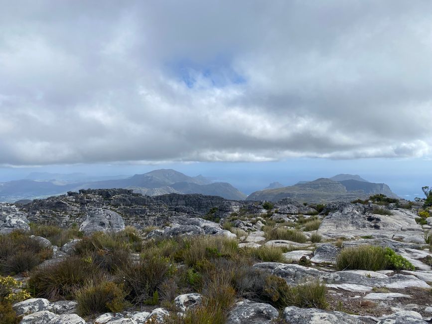 Noch kurz den Tafelberg hoch