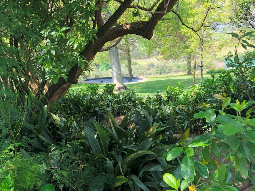 Der private Garten - die Villa steht rechts davon