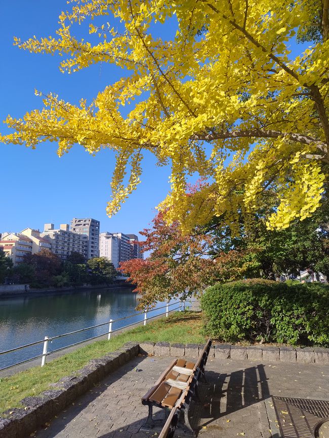 Herbststimmung in Hiroshima 