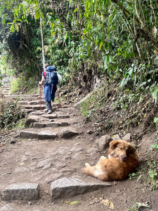 Hostel en Aguas Calientes