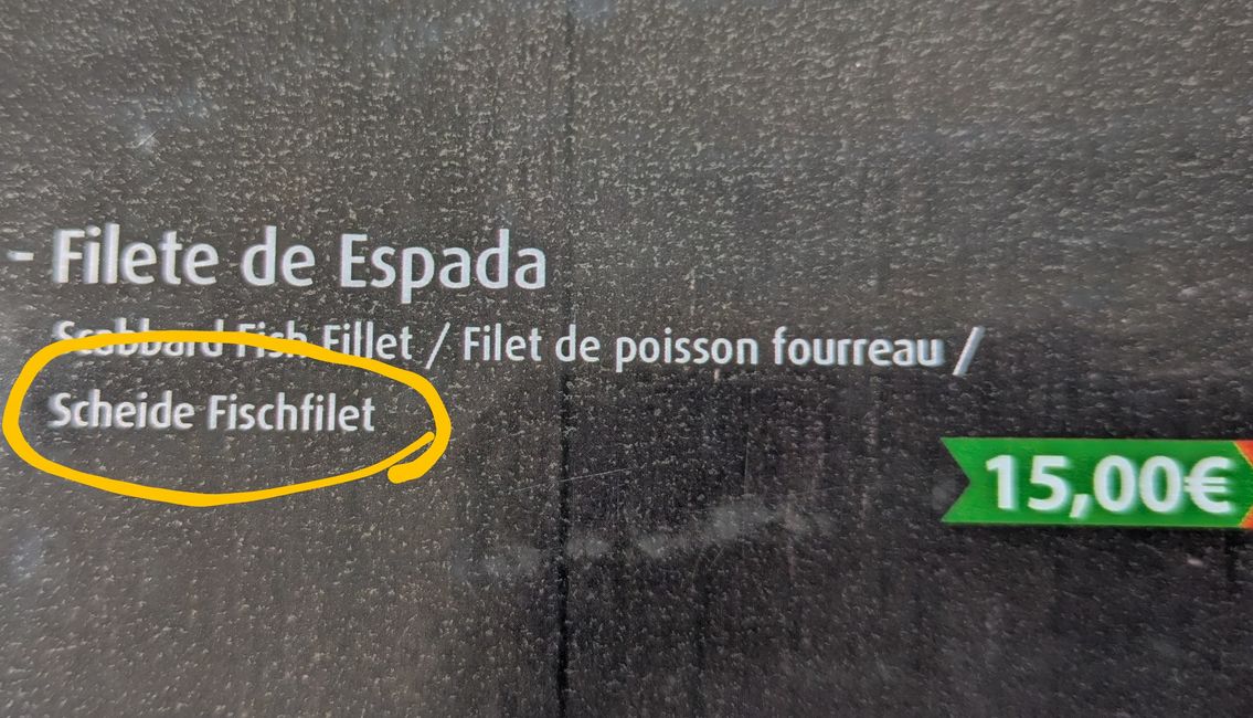 Tag 13: Levada da Ribeira da Janela & Nordwestküste