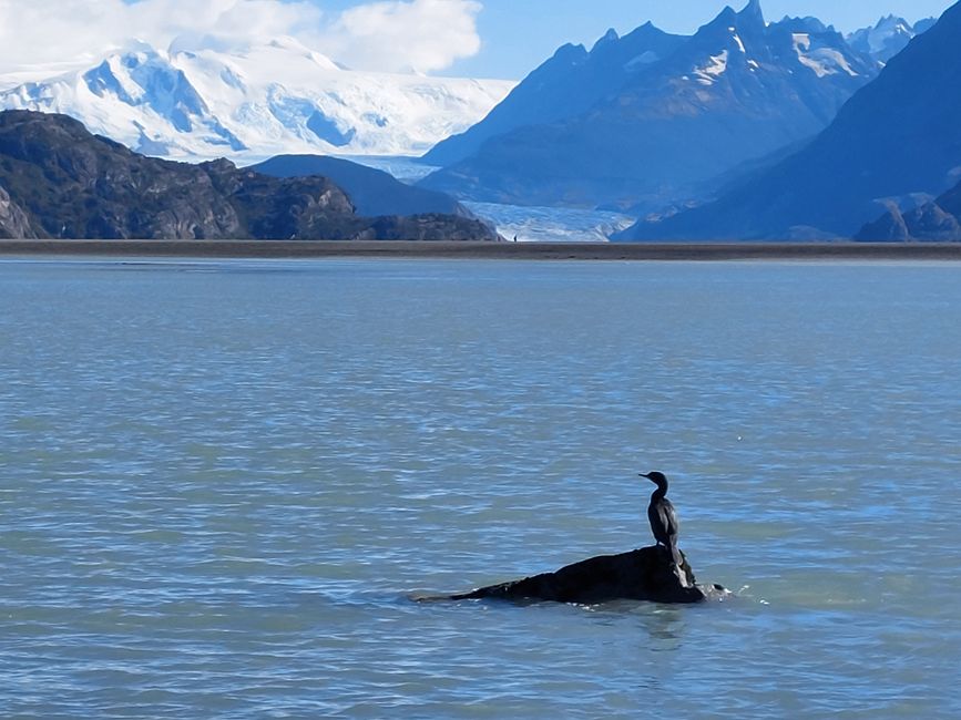 Chile - Santiago und Patagonien