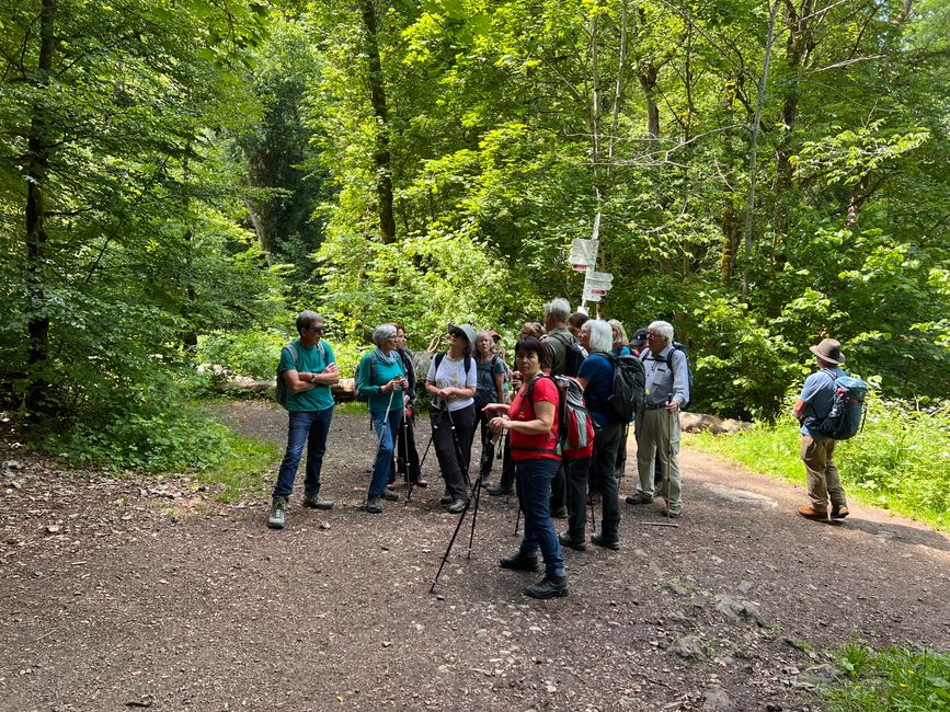 28 Wutachschlucht Pro Wolermoos