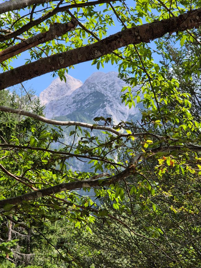 Mundo de montañas y eldorado de serpentinas