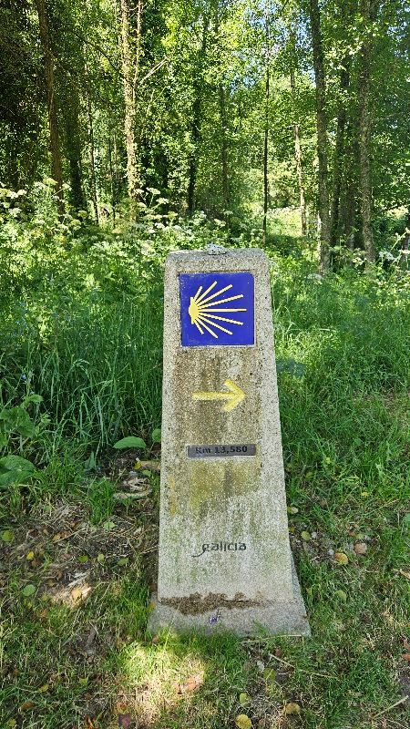 Canino KM Marke bis Santiago