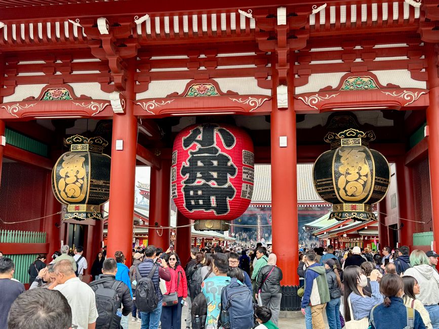 Parte 7
BENVENUTO IN GIAPPONE 🇯🇵
TOKYO