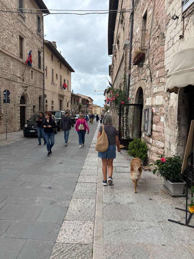 Montag in Assisi, Dienstag Reisetag