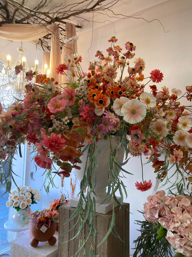 Wandern… von Santa Maria aus zum Tramuntana Gebirge…soweit meine Füße mich tragen