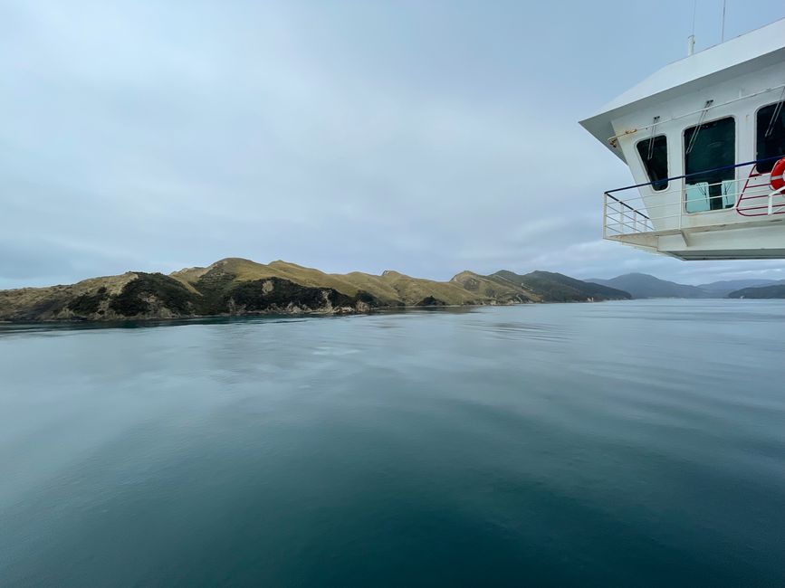 Kia Ora South Island - our next adventure