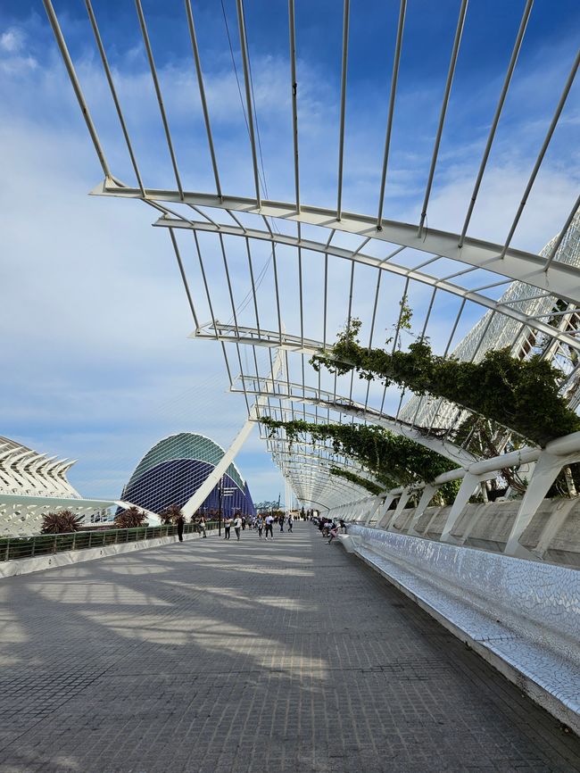 2025 - April - Valencia - Architektur von Santiago Calatrava