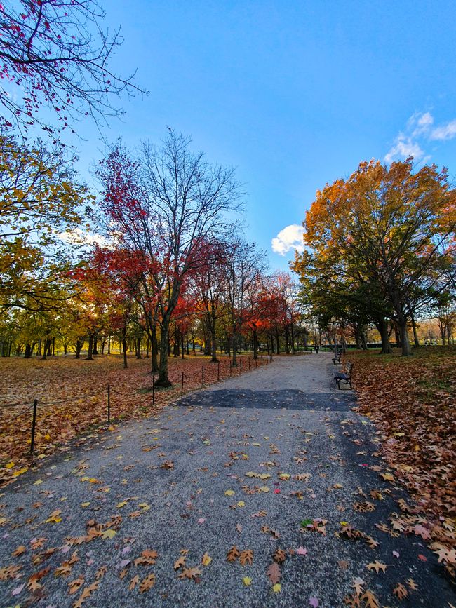 Washington D.C. 